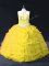 Gold Ball Gowns Appliques and Pick Ups 15 Quinceanera Dress Backless Organza Sleeveless Floor Length