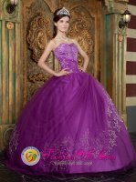 Belleek Fermanagh Beautiful Purple Tempe Quinceanera Dress Appliques Sweetheart Strapless Tulle Ball Gown