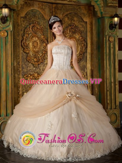 Hand Made Flower and Appliques Decorate Strapless Bodice Champagne Ball Gown Quinceanera Dress in Elgg Switzerland - Click Image to Close
