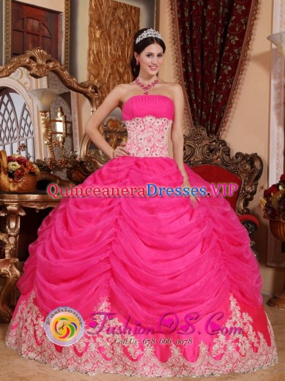 Conwy Gwynedd Beaded Decorate Bodice Lovely Hot Pink Sweet Quinceanera Dress Strapless Organza Ball Gown - Click Image to Close