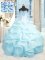 Super Baby Blue Sleeveless Organza Lace Up Sweet 16 Dresses for Military Ball and Sweet 16 and Quinceanera