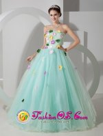Quakertown Pennsylvania/PA Apple Green Organza Quinceanera Dress With Hand Made Flowers For Celebrity