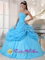 Albany NY Lovely Baby Blue Strapless Organza Floor-length Ball Gown Appliques Quinceanera Dress with Pick-ups