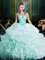 Enchanting Halter Top Sleeveless Brush Train Clasp Handle Vestidos de Quinceanera Apple Green Organza