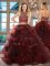 Cheap Burgundy Tulle Backless Halter Top Sleeveless 15th Birthday Dress Brush Train Beading and Ruffles