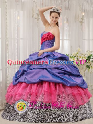 Haan Colorful Exclusive Quinceanera Dress With purple Taffeta and pink Organza and Zebra Pick-ups