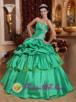 Cuyahoga Falls Ohio/OH Appliques and Pick-ups For Low Price Apple Green Stylish Quinceanera Dress