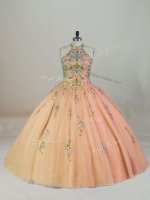 Super Halter Top Sleeveless Quince Ball Gowns Brush Train Appliques and Embroidery Peach Tulle(SKU PSSW0985-5BIZ)