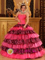 Alcoy Spain Organza and Zebra Layers Hot Pink Quinceanera Dress With Sweetheart and Beading Decorate Ball Gown