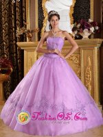 Nagold Germany Strapless Lavender Appliques Decorate and Ruching Organza Quinceanera Dress(SKU QDZY047y-6BIZ)
