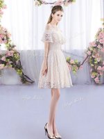Free and Easy Champagne Short Sleeves Mini Length Lace Lace Up Dama Dress for Quinceanera(SKU BMT0488FBIZ)