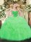 Apple Green Organza Lace Up Quinceanera Gown Sleeveless Floor Length Ruffles