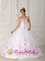 Beaumont Texas/TX Sweetheart Strapless Satin and Organza With Embroidery Cute White Quinceanera Dress Ball Gown(SKU QDZY298y-3BIZ)