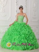 Cedar Rapids Iowa/IA Beautiful Rolling Flowers Green Quinceanera Dress For Strapless Organza With Beading Ball Gown