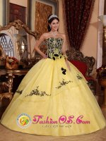 Light Yellow For Beautiful Strapless Quinceanera Dress With Embroidery and Hand Made Flowers In Fountain Hills AZ　