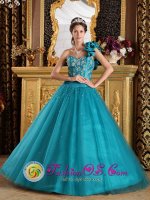 Tiffany & Co Stunning A-Line Princess Turquoise One Shoulder Quinceanera Gowns With Tulle Beaded Decorate In Goodland Kansas/KS[QDZY202-HBIZ]