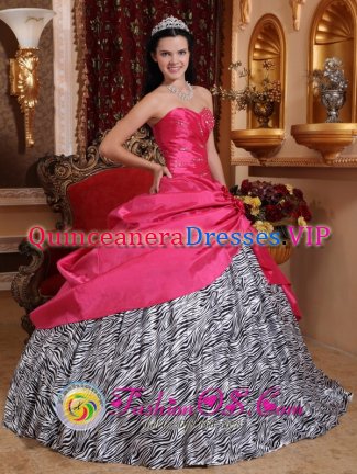 Marazion Cornwall Taffeta and Zebra For Quinceanera Dress With Beading and Hand Made Flowers