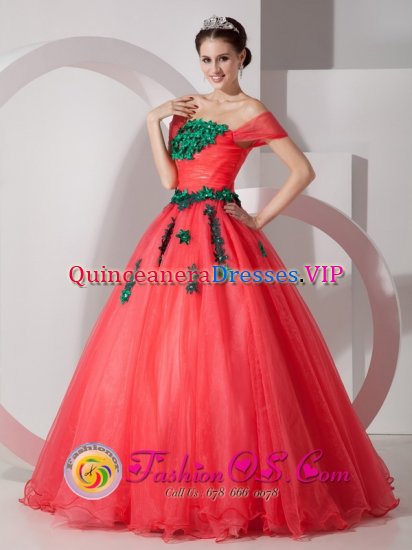 Pretty One Shoulder Organza Quinceanera Dress With Hand Made Flowers Custom Made In Safford AZ　 - Click Image to Close