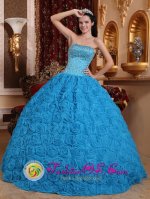 Glen Allen Virginia/VA Gorgeous Blue Sweet Quinceanera Dress Fabric With Rolling Flowers Ball Gown Strapless Beading Ball Gown