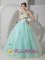 Lake Village Arkansas/AR Apple Green Organza Quinceanera Dress With Hand Made Flowers For Celebrity