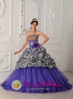 Cannon Falls Minnesota/MN Brand New Custom Made Zebra and Organza Purple Quinceanera Dress For Strapless Chapel Train Ball Gown