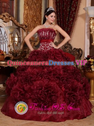 Chinook Montana/MT Appliques Burgundy Strapless Organza Popular Quinceanera Dresses
