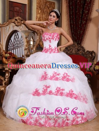 Edna TX Appliques Organza Wholesale Sweet Quinceanera Dress