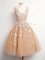 Pretty Tulle V-neck Sleeveless Lace Up Lace Quinceanera Dama Dress in Champagne