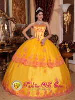 Tiffany & Co Emmaus Pennsylvania/PA Classical Yellow Quinceanera Dress With Organza and Lace Appliques Decorate[QDZY431 y-6BIZ]