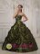 Dayton Tennessee/TN Exquisite Olive Green Quinceanera Dress With Deaded Decorate taffeta For Sweet 16 Quinceaners