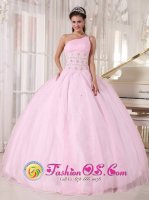 Graham TX Luxurious Baby Pink One Shoulder Quinceanera Dress Beading Floor Length Tulle For Sweet 16