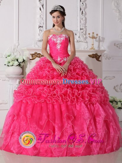 Beaded Embroidery Hot Pink Modest Quinceanera Dress For Norwalk Connecticut/CT Strapless Organza Ball Gown - Click Image to Close