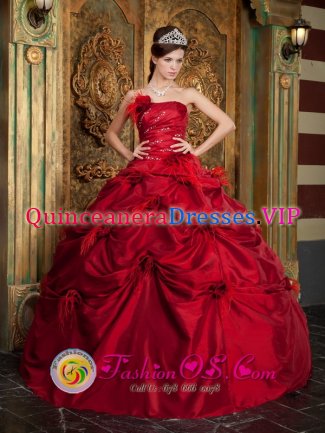 Bloomington Indiana/IN Gorgeous Wine Red Pick-ups and Hand Made Flowers Ruched Bodice For Quinceanera Dress