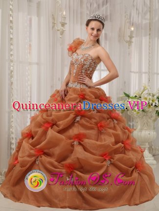 Flippin Arkansas/AR Discount One Shoulder Organza Appliques Decorate Up Bodice Rust Red Quinceanera Dress For Hand Made Flower Decorate