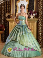 Appliques Discount Olive Green Colorado/CO Quinceanera Dress Strapless Ruched Bodice Taffeta and Organza Ball Gown