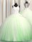 See Through Zipple Up Quinceanera Gowns Tulle Brush Train Sleeveless Beading and Appliques