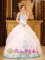 Chestnut Hill Massachusetts/MA Exquisite Appliques Over Skirt For Sweetheart Quinceaners Dress White Ball gown