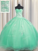 Zipper Up Sleeveless Beading and Appliques Zipper Quinceanera Gown