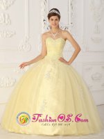 Albany TX Fashionable Light Yellow Sweet 16 Quinceanera Dress With Sweetheart Ruched Bodice Organza Appliques In New Yock City