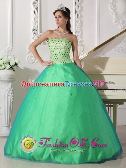 Dammarie-les-Lys France Beading Decorate Bodice Spring Green Tulle Sweet Quinceanera Dresses - Click Image to Close