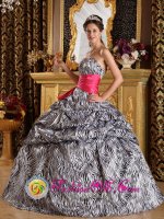 Cranston Rhode Island/RI A-line Zebra Sash Sweetheart Ball Gown Quinceanera Dreaaea With Pick-ups Floor-length(SKU QDZY211 y-6BIZ)