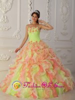 Tiffany & Co Glen Mills Pennsylvania/PA Colorful Quinceanera Dress With Hand Made Flowers Ruffles Layered and Ruched Bodice[QDZY004 y-6BIZ]