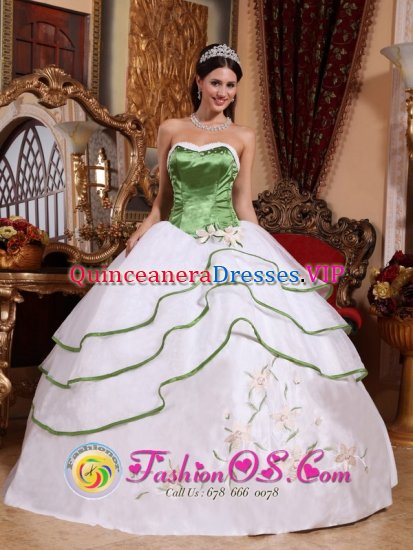 Beaumont TX Spring Green and White For Stylish Quinceanera Dress Strapless Organza Embroidery - Click Image to Close