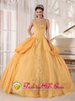 Gorgeous Gold Appliques Spaghetti Straps Cave Creek AZ Quinceanera Dress With Taffeta and Organza Ball Gown