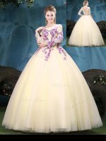 Free and Easy Scoop Long Sleeves Appliques Lace Up Vestidos de Quinceanera