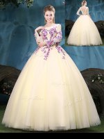 Free and Easy Scoop Long Sleeves Appliques Lace Up Vestidos de Quinceanera(SKU YCQD0165-4BIZ)