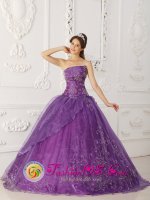 Elegent Lavender A-line Embroidery Quinceanera Dress With Strapless Satin and Organza Layers In Malden Massachusetts/MA