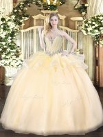 Elegant Ball Gowns Sweet 16 Dresses Champagne Sweetheart Organza Sleeveless Floor Length Lace Up