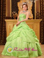StanleyIdaho/ID Beaded Decorate Unique Spring Green A-line Quinceanera Dress