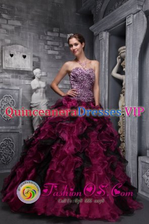Lockhart TX Leopord and Deaded Decorate Bodice Ruffles Wild Fushsia Quinceanera Dress Custom Made